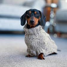 SWEATERS