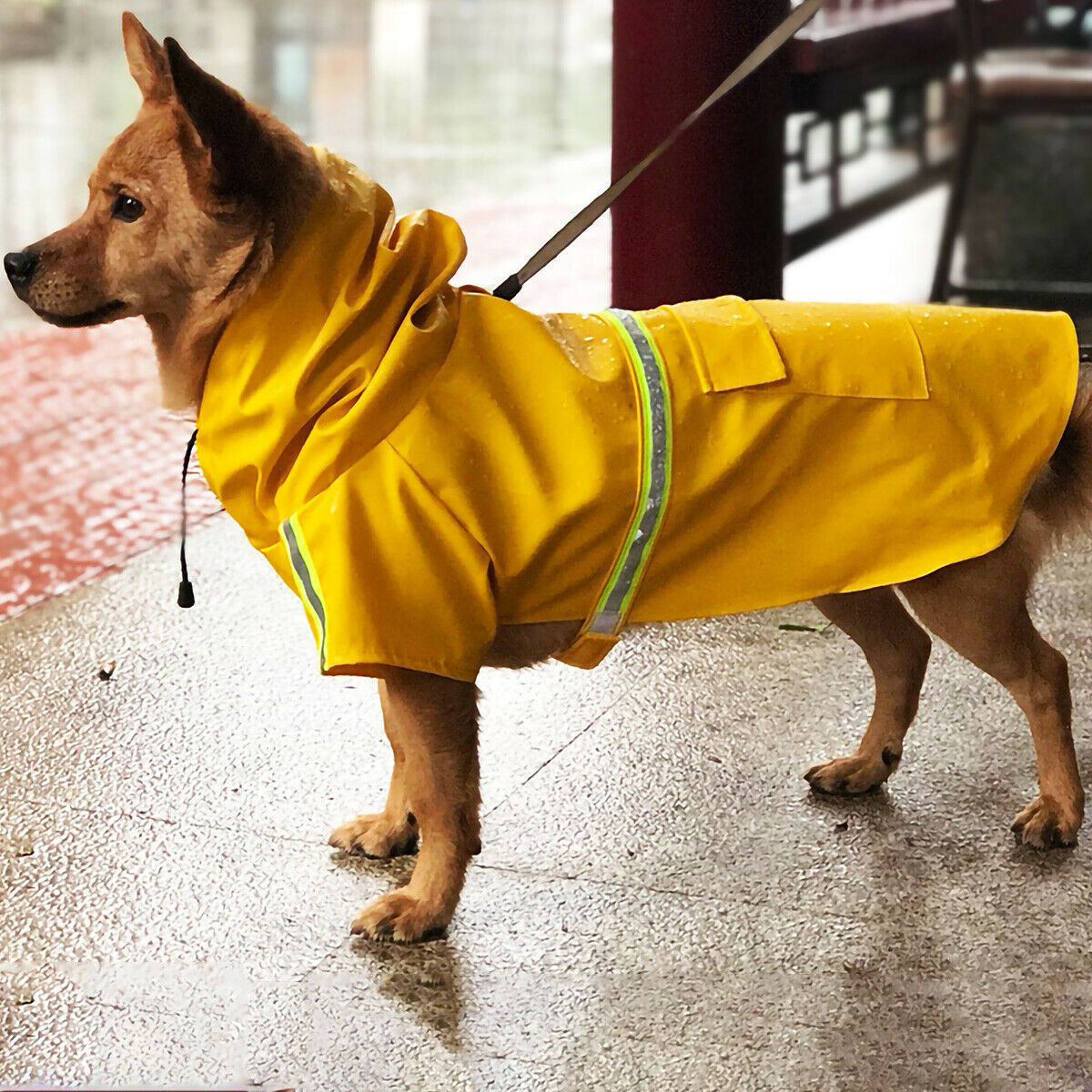 Dog Raincoat Waterproof Dachshund Dog Poncho