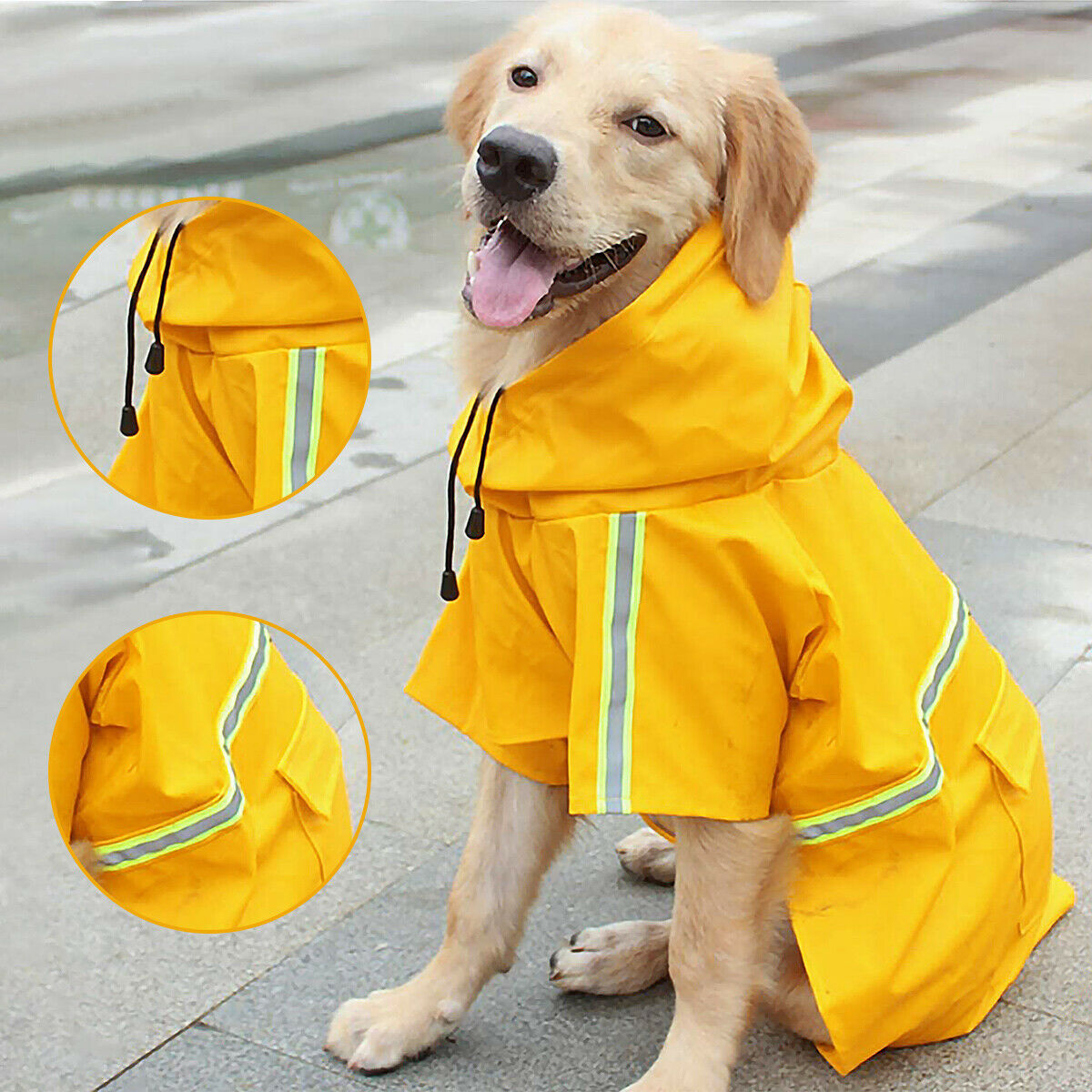 Dog Raincoat Waterproof Dachshund Dog Poncho