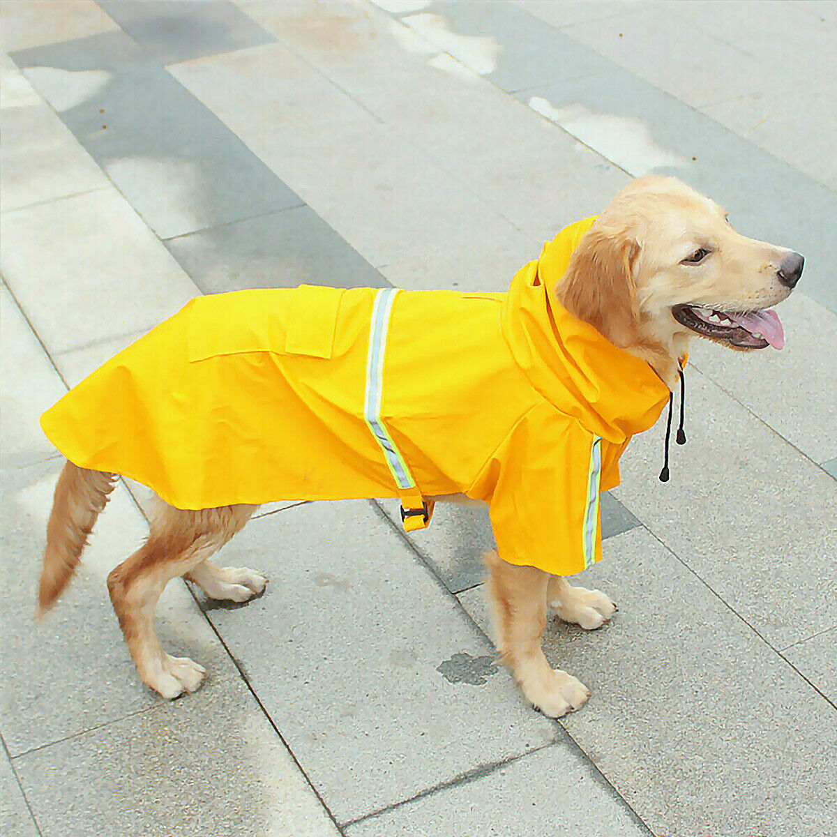 Dog Raincoat Waterproof Dachshund Dog Poncho