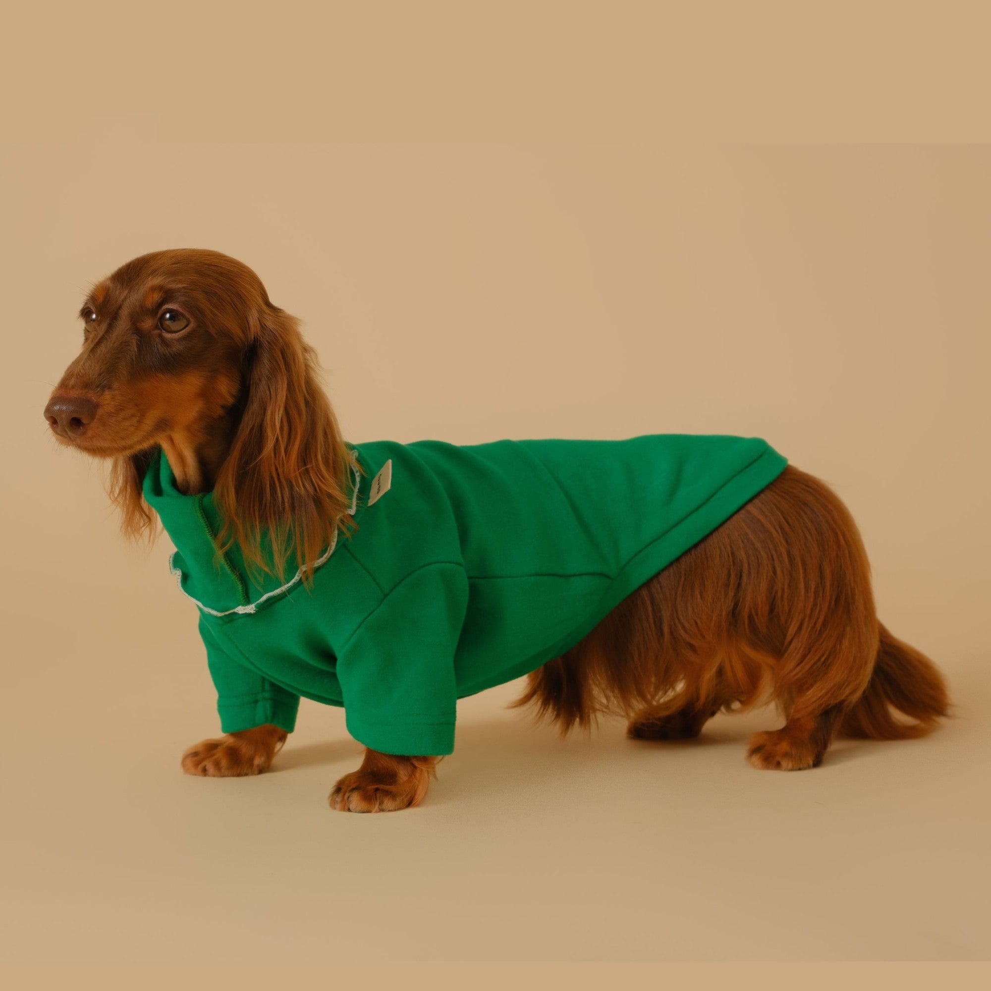 Pet Base Coat Dachshund Dog Clothing