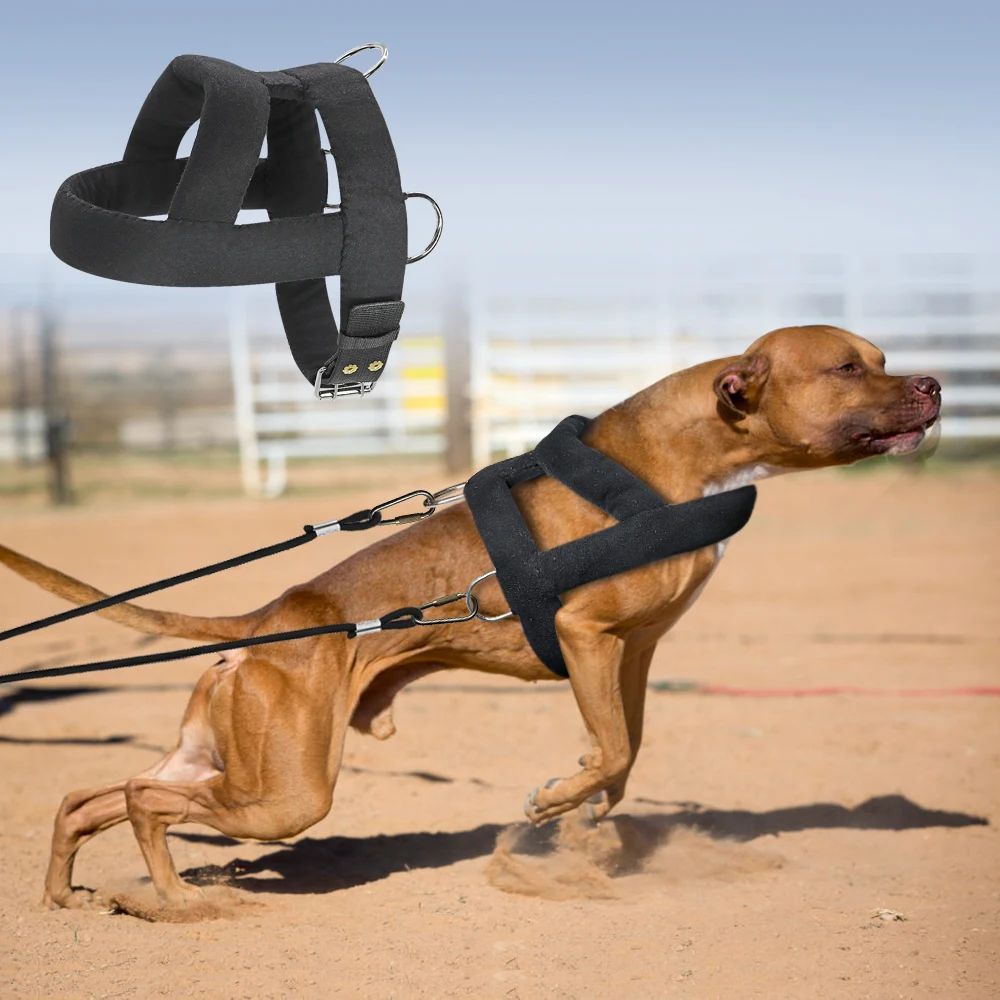 Dog Weight Pulling Harness Soft Padded